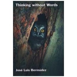 Thinking Without Words pdf epub mobi 電子書 下載