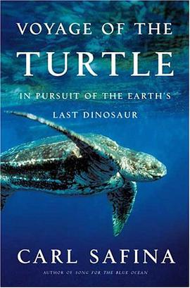 Voyage of the Turtle pdf epub mobi 电子书 下载