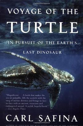 Voyage of the Turtle pdf epub mobi 電子書 下載