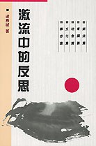 激流中的反思 pdf epub mobi 電子書 下載