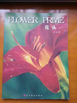 花头 pdf epub mobi 电子书 下载