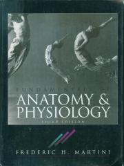 Fundamentals of Anatomy and Physiology pdf epub mobi 电子书 下载