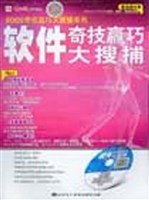 2005软件奇技赢巧大搜捕