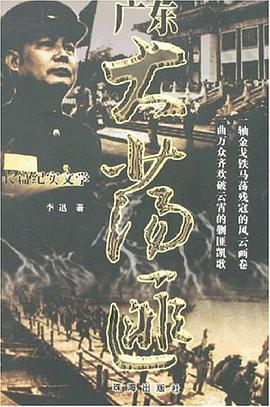 广东大荡匪 pdf epub mobi 电子书 下载