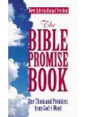 The Bible Promise Book: One Thousand Promises from Gods Word New International Version pdf epub mobi 电子书 下载