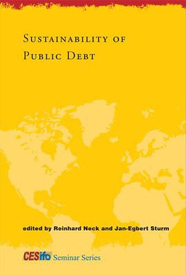 Sustainability of Public Debt pdf epub mobi 电子书 下载