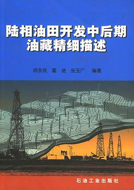 陆相油田开发中后期油藏精细描述 pdf epub mobi 电子书 下载
