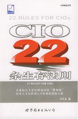 CIO22条生存法则 pdf epub mobi 电子书 下载
