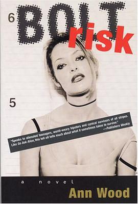 Bolt Risk pdf epub mobi 电子书 下载