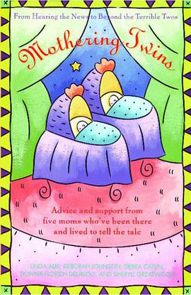 Mothering Twins pdf epub mobi 电子书 下载