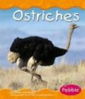 Ostriches pdf epub mobi 电子书 下载