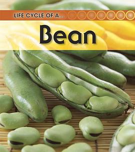 Bean pdf epub mobi 电子书 下载