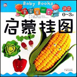 宝宝第一本启蒙挂图 pdf epub mobi 电子书 下载
