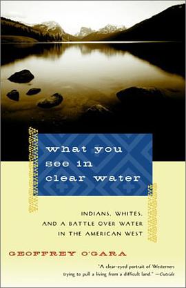 What You See in Clear Water pdf epub mobi 电子书 下载