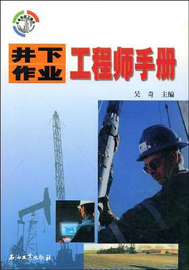 井下作业工程师手册 pdf epub mobi 电子书 下载