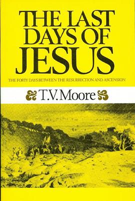The Last Days of Jesus pdf epub mobi 电子书 下载