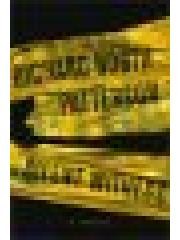 Silent Witness pdf epub mobi 电子书 下载