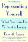 Representing Yourself pdf epub mobi 電子書 下載