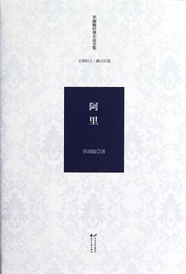 阿里 pdf epub mobi 电子书 下载