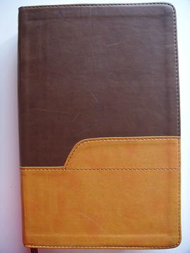 Holy Bible New International Version Large Print Text pdf epub mobi 电子书 下载