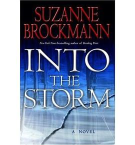 Into the Storm pdf epub mobi 电子书 下载