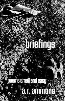 Briefings pdf epub mobi 电子书 下载