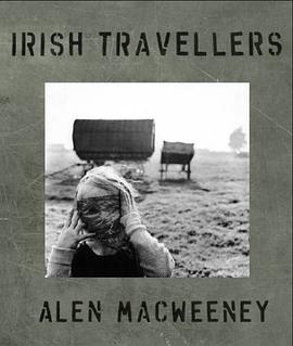 Irish Travellers pdf epub mobi 电子书 下载