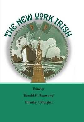 The New York Irish pdf epub mobi 电子书 下载