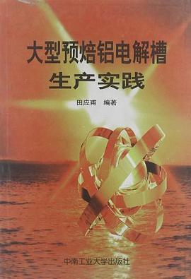 大型预焙铝电解槽生产实践 pdf epub mobi 电子书 下载