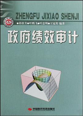 政府绩效审计 pdf epub mobi 电子书 下载