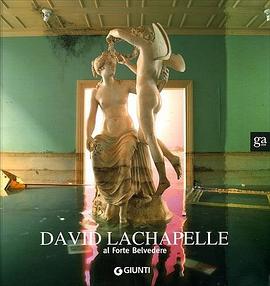 David Lachapelle pdf epub mobi 電子書 下載