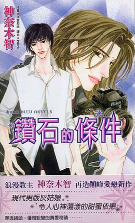 钻石的条件 pdf epub mobi 电子书 下载