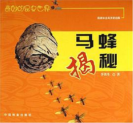 马蜂揭秘 pdf epub mobi 电子书 下载