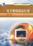电子表格高级处理 pdf epub mobi 电子书 下载