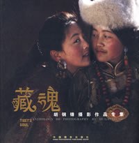 藏魂 pdf epub mobi 电子书 下载