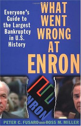 What Went Wrong at Enron pdf epub mobi 电子书 下载