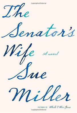 The Senator's Wife pdf epub mobi 电子书 下载