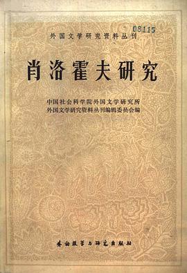 肖洛霍夫研究 pdf epub mobi 電子書 下載