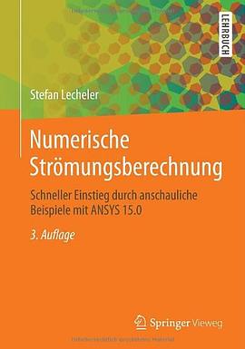 Numerische Strömungsberechnung