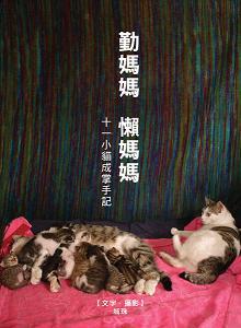 勸媽媽 懶媽媽 - 十一小貓成掌手記