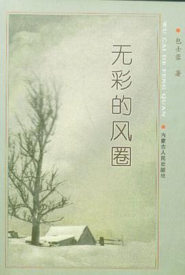 无彩的风圈 pdf epub mobi 下载