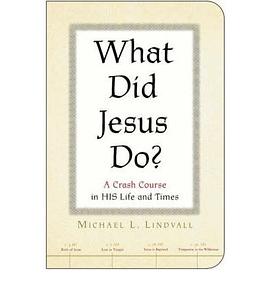 What Did Jesus Do? pdf epub mobi 电子书 下载