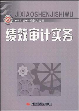 绩效审计实务 pdf epub mobi 电子书 下载
