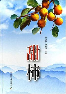 甜柿 pdf epub mobi 电子书 下载