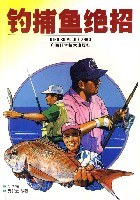 钓捕鱼绝招 pdf epub mobi 电子书 下载