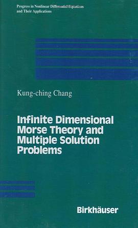Infinite dimensional Morse theory and multiple solution problems pdf epub mobi 電子書 下載
