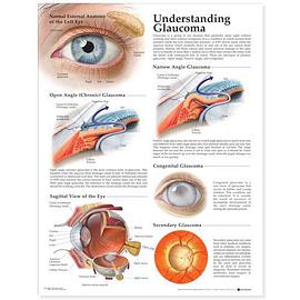 Understanding Glaucoma Anatomical Chart pdf epub mobi 电子书 下载