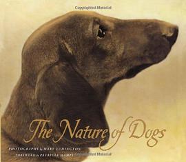 The Nature of Dogs pdf epub mobi 下载