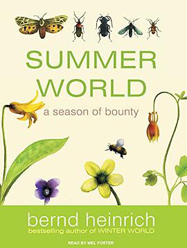 Summer World pdf epub mobi 電子書 下載