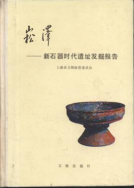 崧泽 pdf epub mobi 电子书 下载